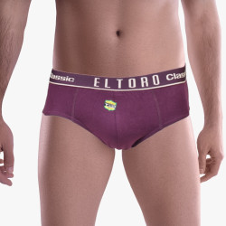Brief